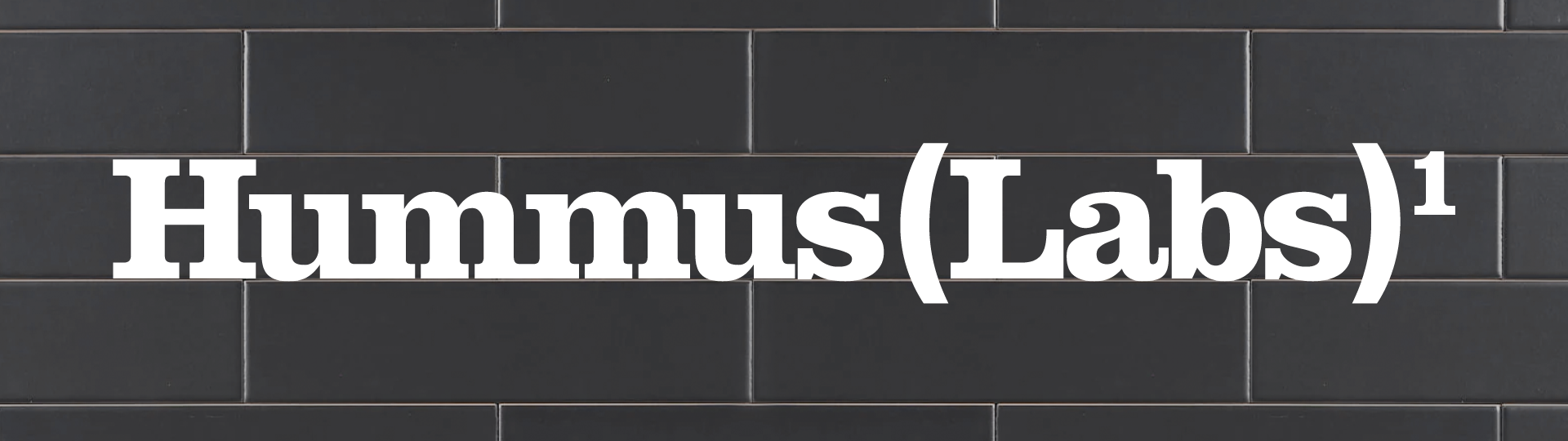 Logotype_White_On_BlackSubwayTile_Texture_3b