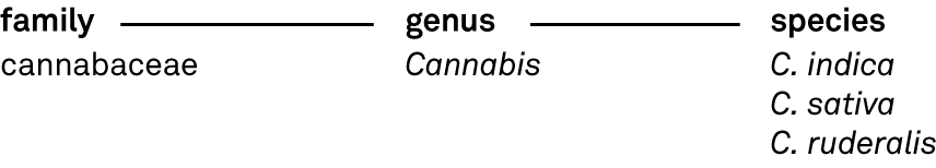 Nomenclature_Italics_960px_Chart_2